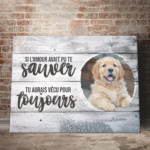 Collection_d3a1380a-b7d1-4acb-9d71-502f2b1ea277.png